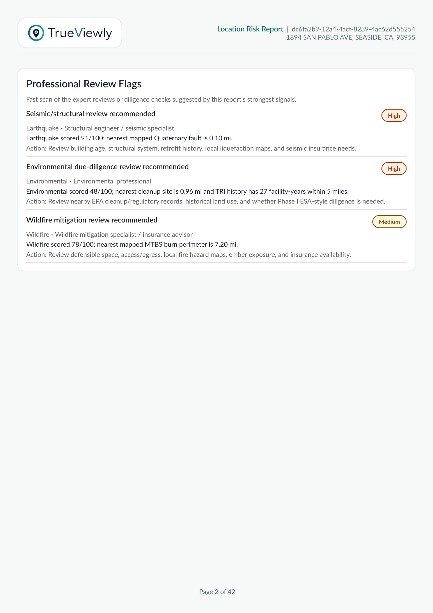 Sample report page with professional review flags